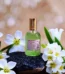 Arabian Jasmine Perfume 100 ml Price in Bangladesh | resellKori