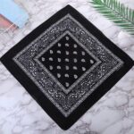 Chaina Imported Classic Paisley Bandana Price in Bangladesh | resellKori