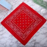 Chaina Imported Classic Paisley Bandana Price in Bangladesh | resellKori