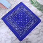 Chaina Imported Classic Paisley Bandana Price in Bangladesh | resellKori