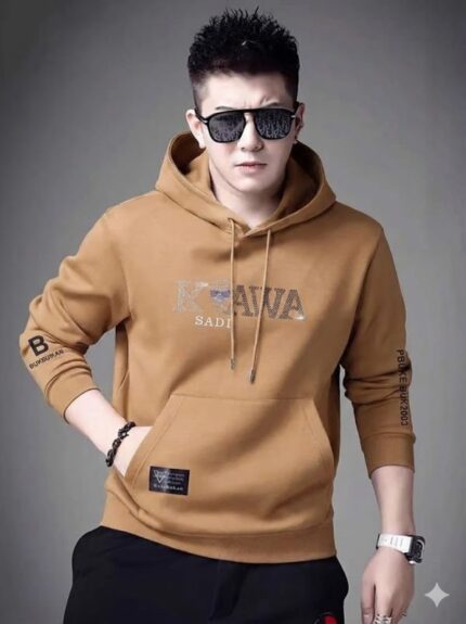 Cotton Premium DTF Stylish Hoodie Price in Bangladesh | resellKori