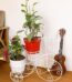 Metal Flower cycle stand Price in Bangladesh | resellKori