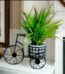 Metal mini cycle tabil stand Price in Bangladesh | resellKori