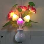Mushroom Sensor LED Night Light Wall Lamp Price in Bangladesh | resellKori