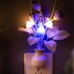 Mushroom Sensor LED Night Light Wall Lamp Price in Bangladesh | resellKori