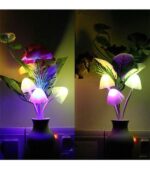 Mushroom Sensor LED Night Light Wall Lamp Price in Bangladesh | resellKori