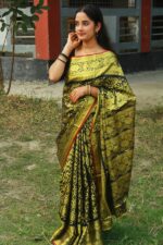 সিল্ক কাতান শাড়ি Price in Bangladesh | resellKori