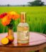SCARLET Perfume 100 mL Price in Bangladesh | resellKori