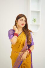 Soft silk katan sharee Price in Bangladesh | resellKori